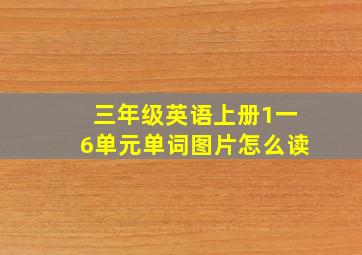 三年级英语上册1一6单元单词图片怎么读