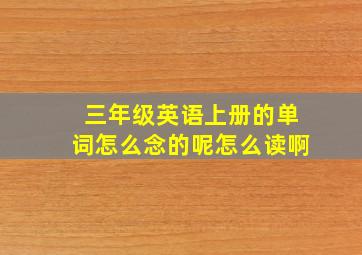 三年级英语上册的单词怎么念的呢怎么读啊