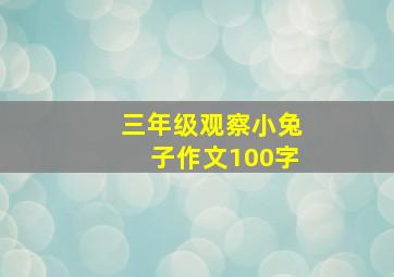 三年级观察小兔子作文100字