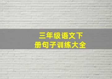 三年级语文下册句子训练大全