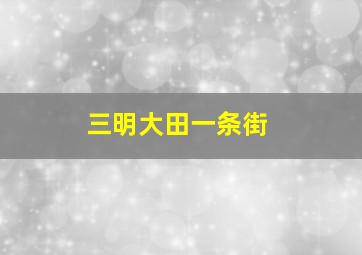 三明大田一条街