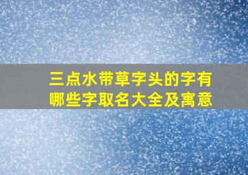 三点水带草字头的字有哪些字取名大全及寓意