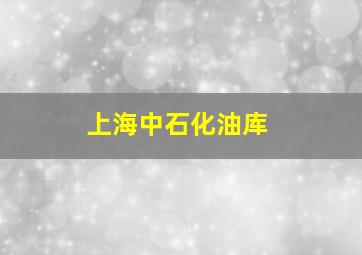 上海中石化油库