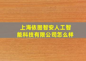 上海依图智安人工智能科技有限公司怎么样