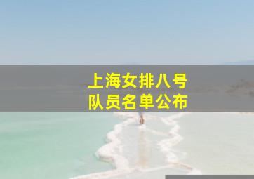 上海女排八号队员名单公布