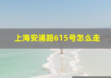 上海安浦路615号怎么走