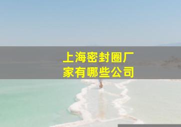 上海密封圈厂家有哪些公司