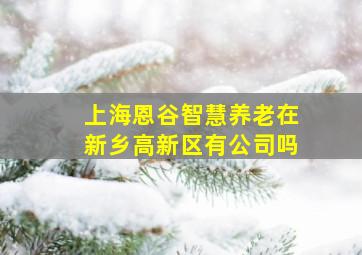 上海恩谷智慧养老在新乡高新区有公司吗