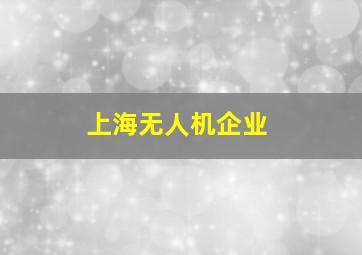 上海无人机企业