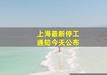 上海最新停工通知今天公布