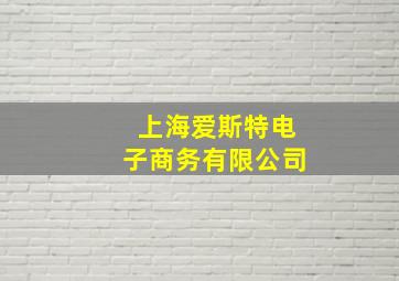 上海爱斯特电子商务有限公司