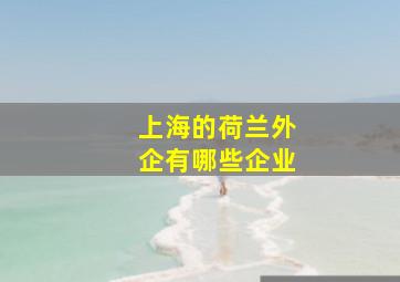 上海的荷兰外企有哪些企业