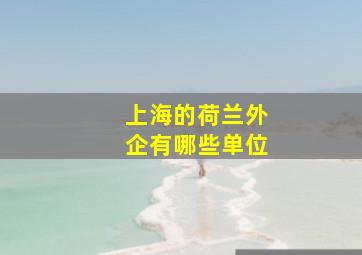 上海的荷兰外企有哪些单位