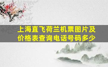 上海直飞荷兰机票图片及价格表查询电话号码多少