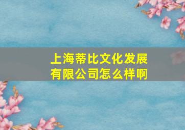 上海蒂比文化发展有限公司怎么样啊