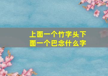 上面一个竹字头下面一个巴念什么字