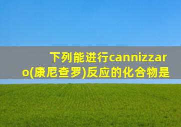 下列能进行cannizzaro(康尼查罗)反应的化合物是