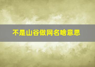 不是山谷做网名啥意思