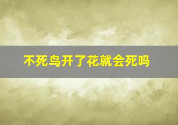 不死鸟开了花就会死吗