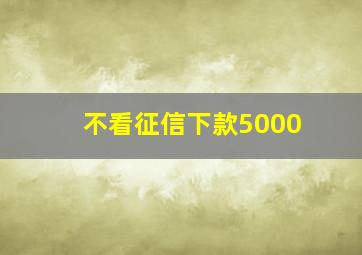 不看征信下款5000