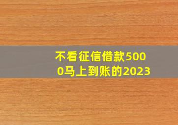 不看征信借款5000马上到账的2023