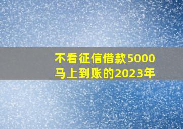 不看征信借款5000马上到账的2023年