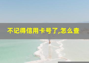 不记得信用卡号了,怎么查