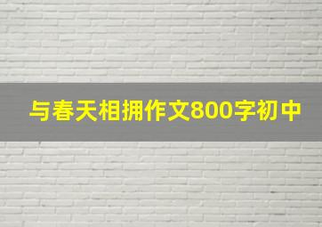 与春天相拥作文800字初中