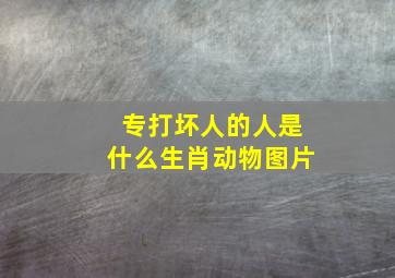 专打坏人的人是什么生肖动物图片