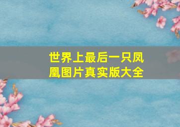 世界上最后一只凤凰图片真实版大全