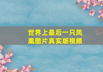 世界上最后一只凤凰图片真实版视频