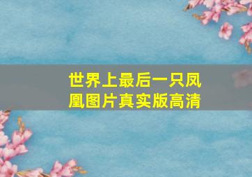 世界上最后一只凤凰图片真实版高清