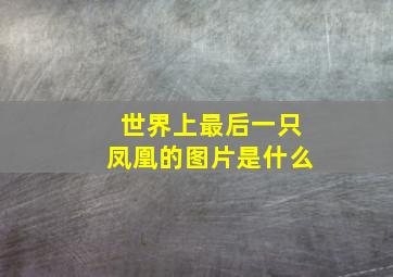 世界上最后一只凤凰的图片是什么