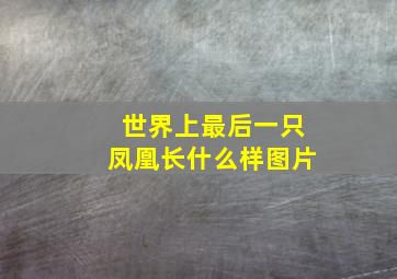 世界上最后一只凤凰长什么样图片