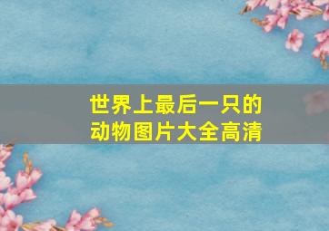 世界上最后一只的动物图片大全高清