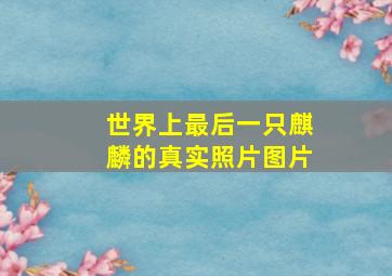 世界上最后一只麒麟的真实照片图片