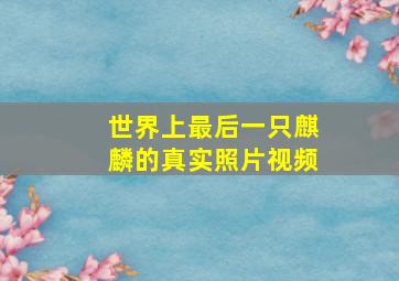 世界上最后一只麒麟的真实照片视频