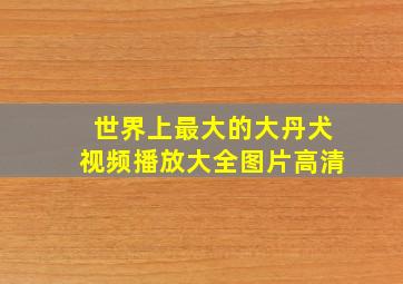 世界上最大的大丹犬视频播放大全图片高清