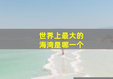 世界上最大的海湾是哪一个