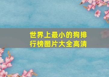 世界上最小的狗排行榜图片大全高清