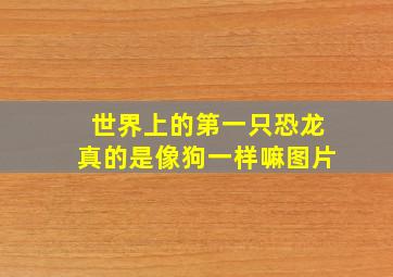 世界上的第一只恐龙真的是像狗一样嘛图片