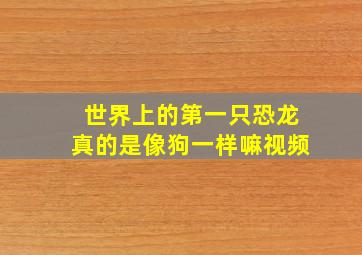 世界上的第一只恐龙真的是像狗一样嘛视频