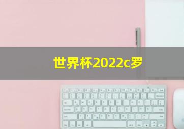 世界杯2022c罗