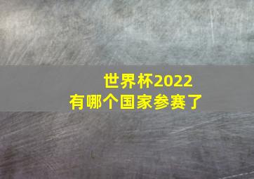 世界杯2022有哪个国家参赛了