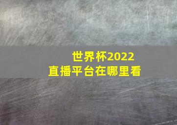 世界杯2022直播平台在哪里看