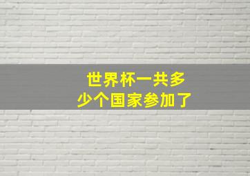 世界杯一共多少个国家参加了