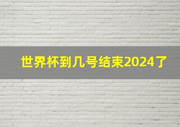 世界杯到几号结束2024了