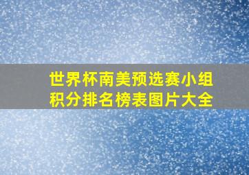 世界杯南美预选赛小组积分排名榜表图片大全