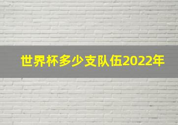 世界杯多少支队伍2022年