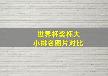 世界杯奖杯大小排名图片对比